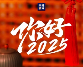 12张图，速览2025