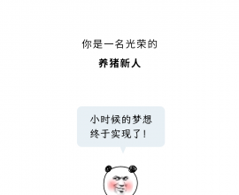 为什么不能在养猪场穿自己的内裤？