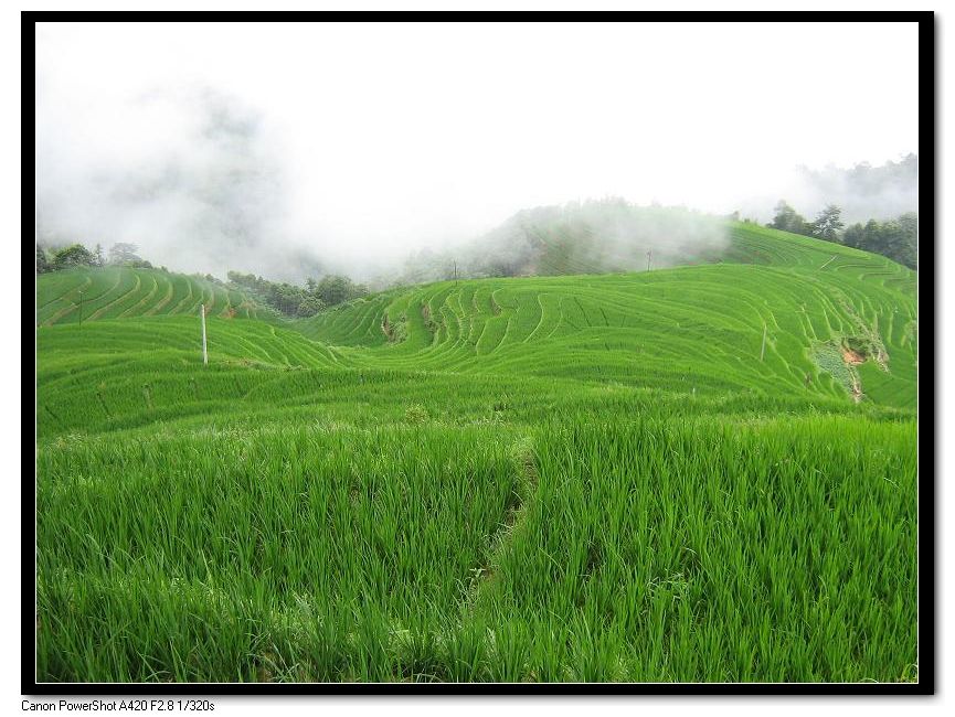 我上班的地方，春天时候的风景926 / 作者:千里之外 / 帖子ID:214