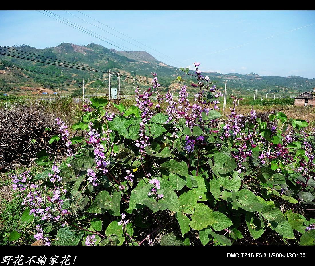 逛西河、观乌石、游治平一路杂拍。661 / 作者:平安大叔 / 帖子ID:1663