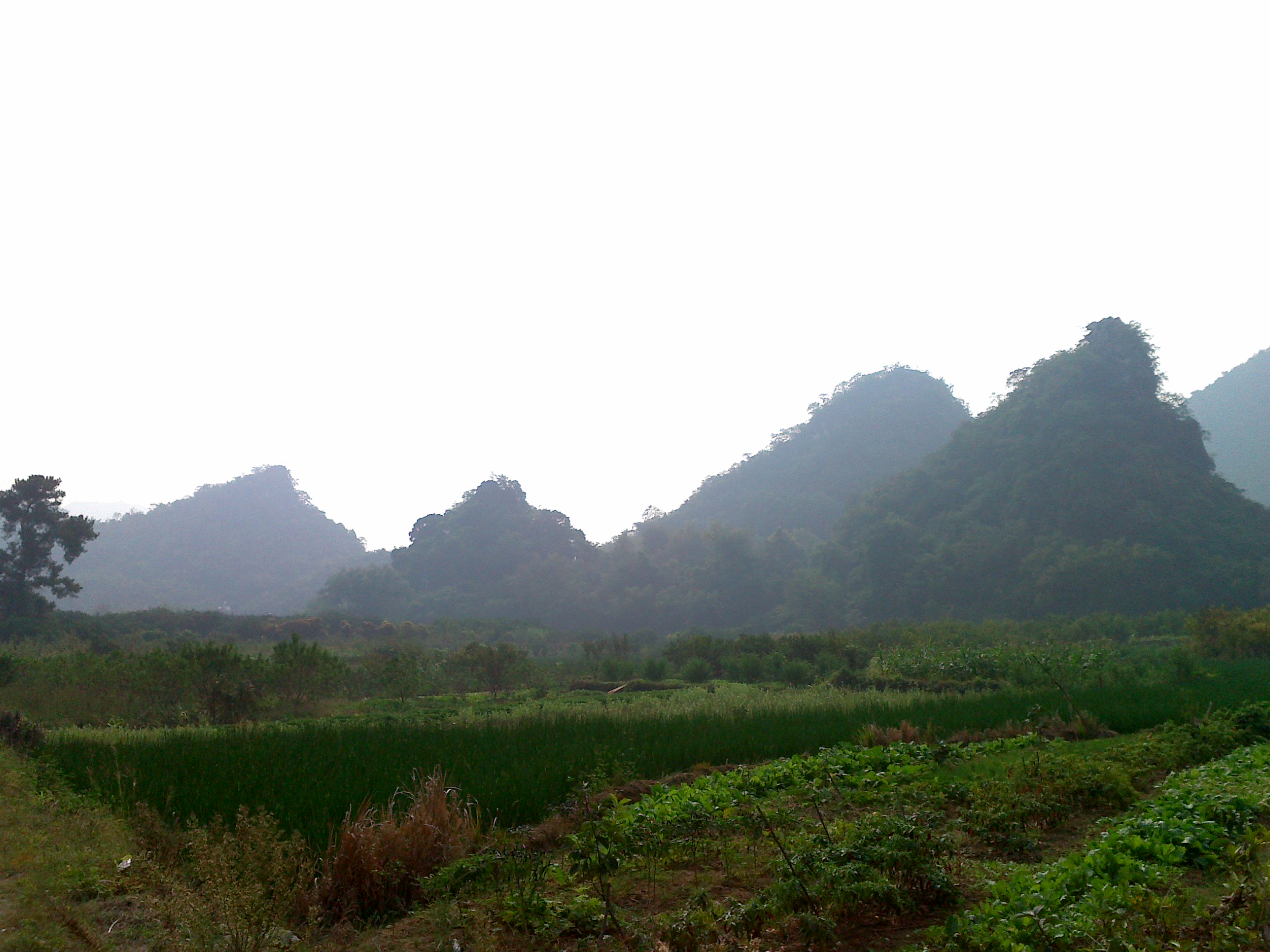 社山风景，现在貌似里面萧条了550 / 作者:少年包工头 / 帖子ID:2178