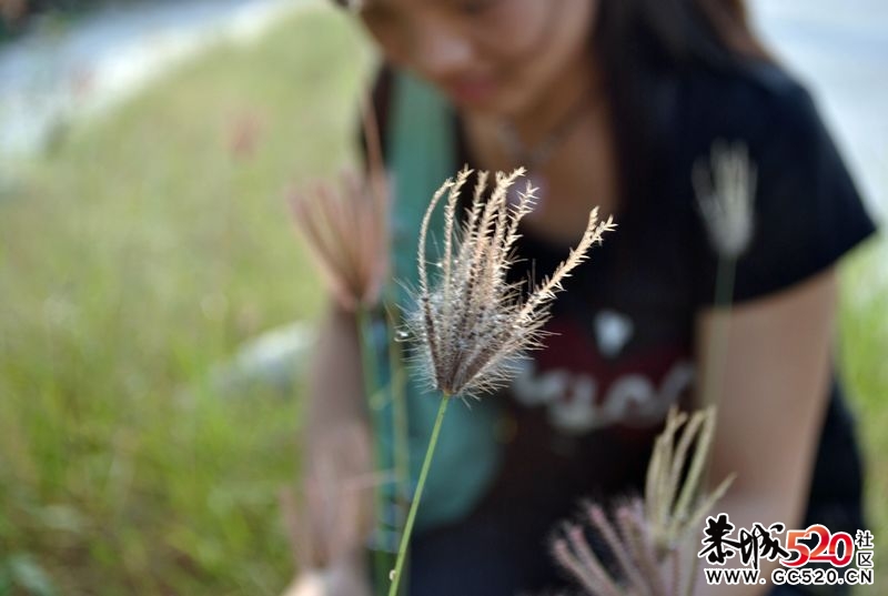 新手单反试拍～多多指教～67 / 作者:娟子 / 帖子ID:2669