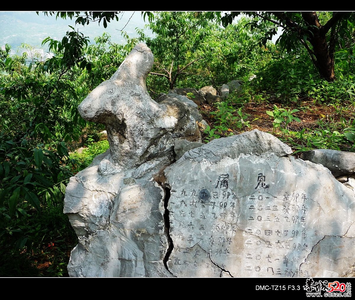 我县石角庵风景区旁的十二生肖石雕755 / 作者:平安大叔 / 帖子ID:3355