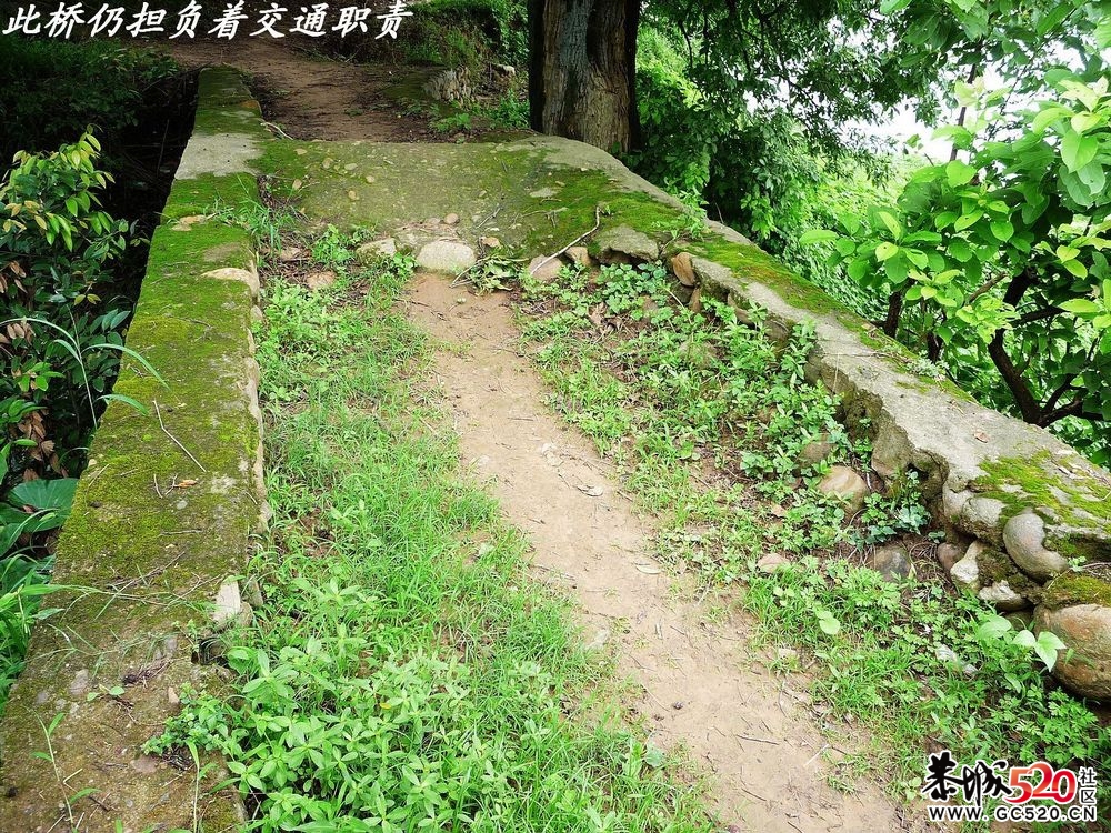 县城边一个藏而不露的古桥：淮阳桥。603 / 作者:平安大叔 / 帖子ID:3456