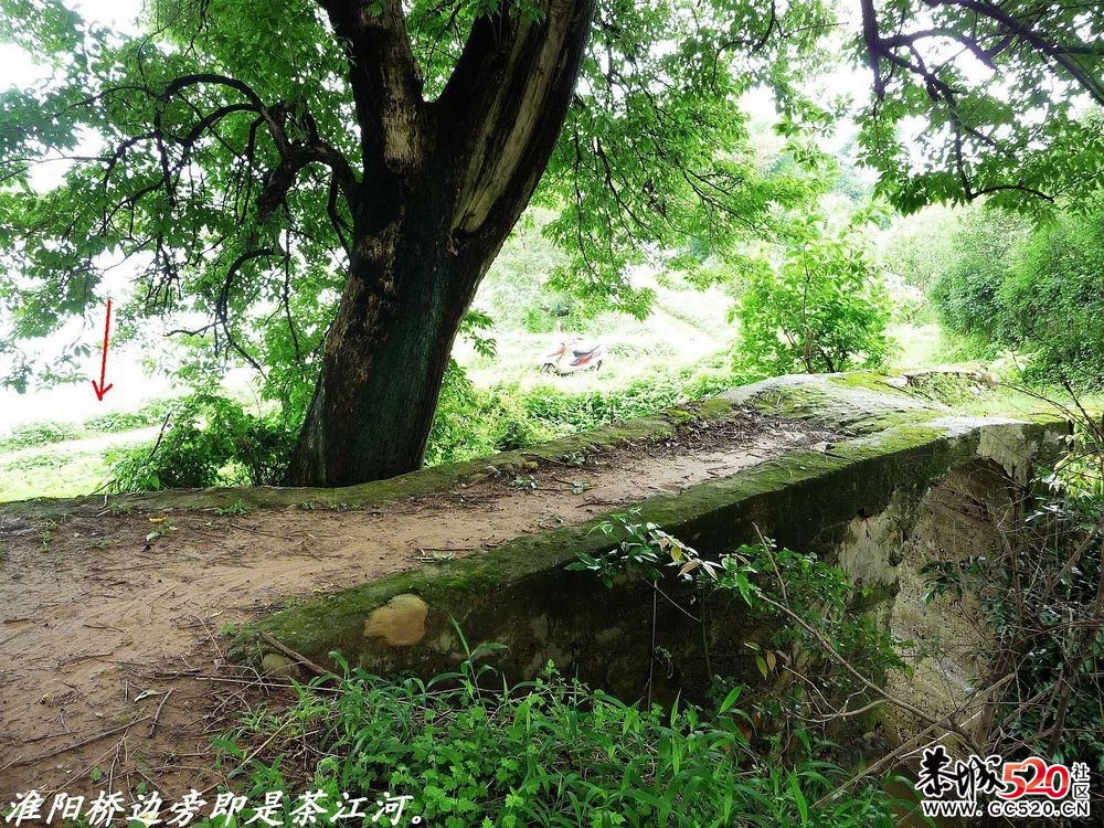 县城边一个藏而不露的古桥：淮阳桥。845 / 作者:平安大叔 / 帖子ID:3456