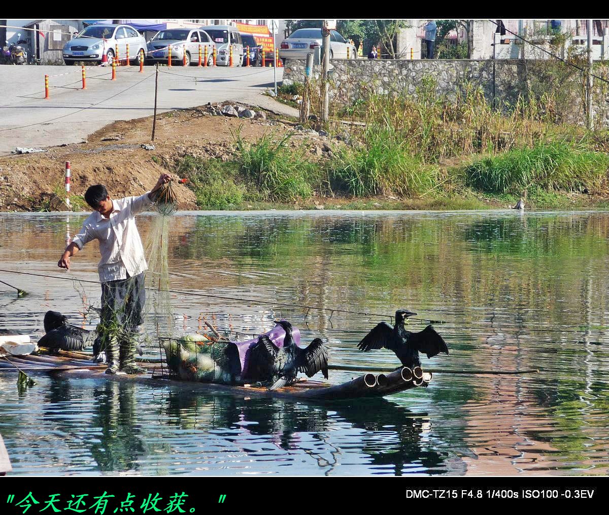 茶江狞渔图890 / 作者:平安大叔 / 帖子ID:5388