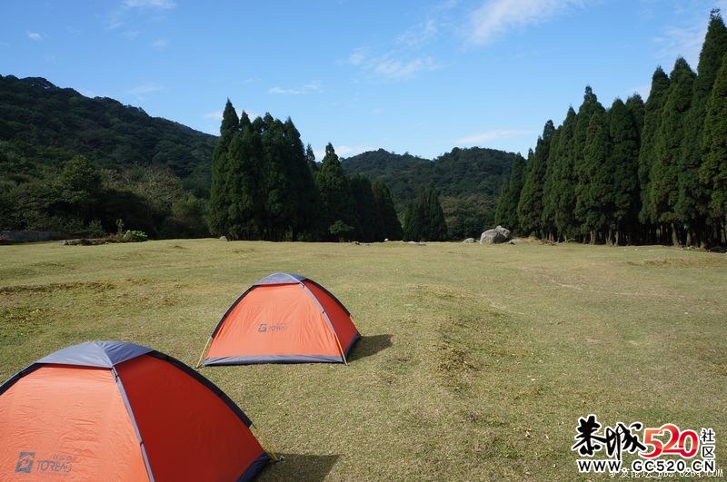 2011大容山浪漫圣诞嘉年华. 大型森林户外狂欢音乐会277 / 作者:躲在墙上的幸福 / 帖子ID:5364