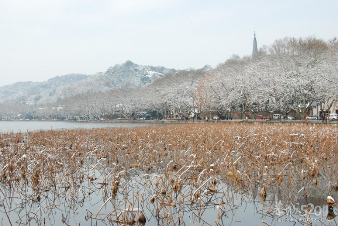 ゛断桥.残荷.雪西湖923 / 作者:小丹丹 / 帖子ID:7746