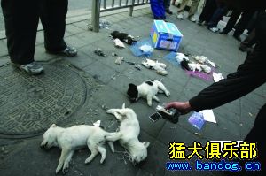 人做不出来的事情（转自猛犬俱乐部）546 / 作者:易水清 / 帖子ID:8797