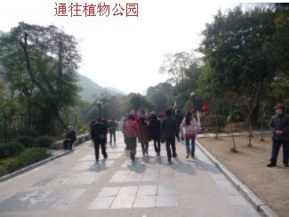 12年1月25日游桂林联达植物公园347 / 作者:我不懂你 / 帖子ID:8856