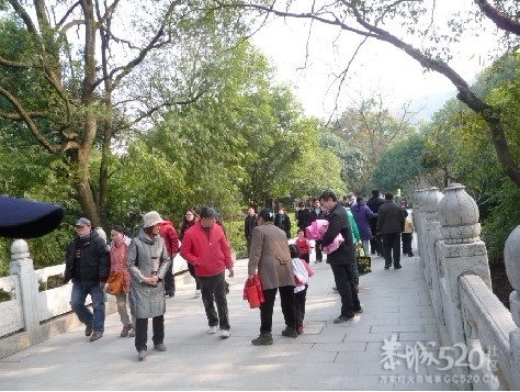 12年1月25日游桂林联达植物公园973 / 作者:我不懂你 / 帖子ID:8856