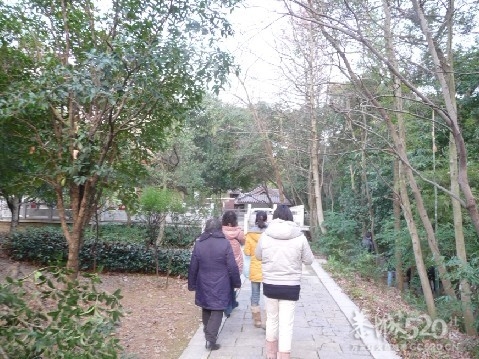 12年1月25日游桂林联达植物公园834 / 作者:我不懂你 / 帖子ID:8856