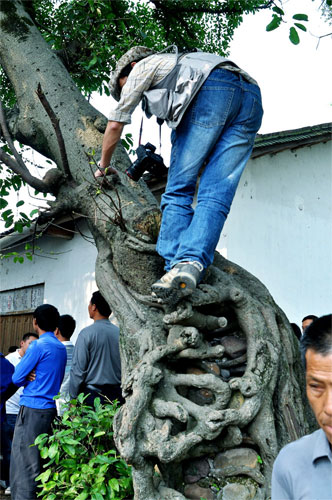 非常值得期待的“杨溪大型民俗活动”306 / 作者:名堂 / 帖子ID:9837