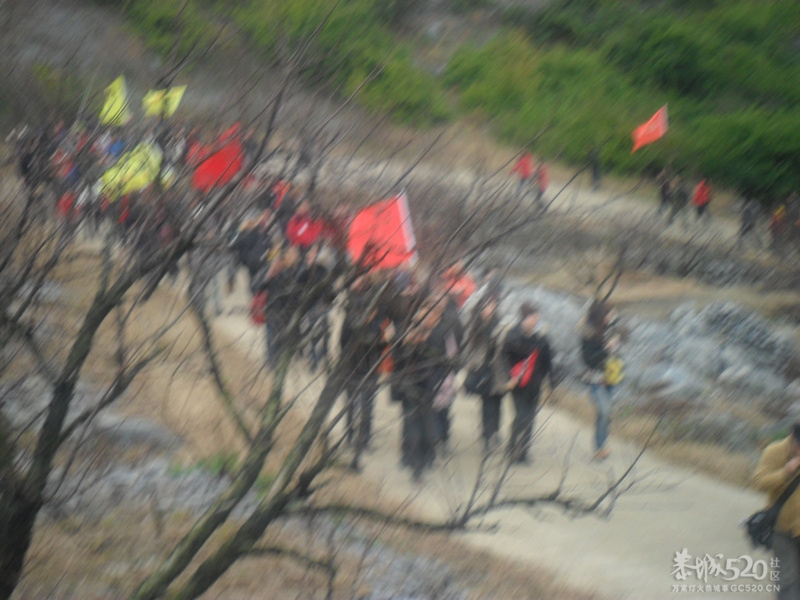 2012恭城第十届桃花节开园仪式于今日启动390 / 作者:箩筐索 / 帖子ID:11564