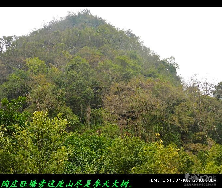 风景迷人的平安陶庄7 / 作者:平安大叔 / 帖子ID:11906