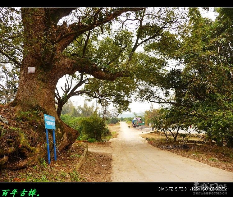 风景迷人的平安陶庄63 / 作者:平安大叔 / 帖子ID:11906