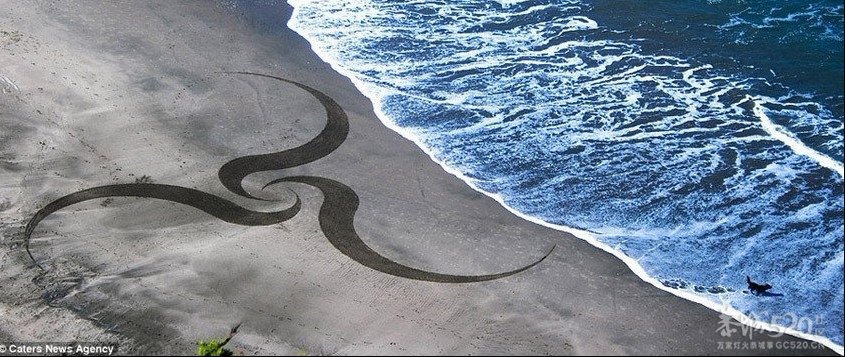艺术家以沙滩为画布创作巨幅画作116 / 作者:裙角飞扬 / 帖子ID:11922