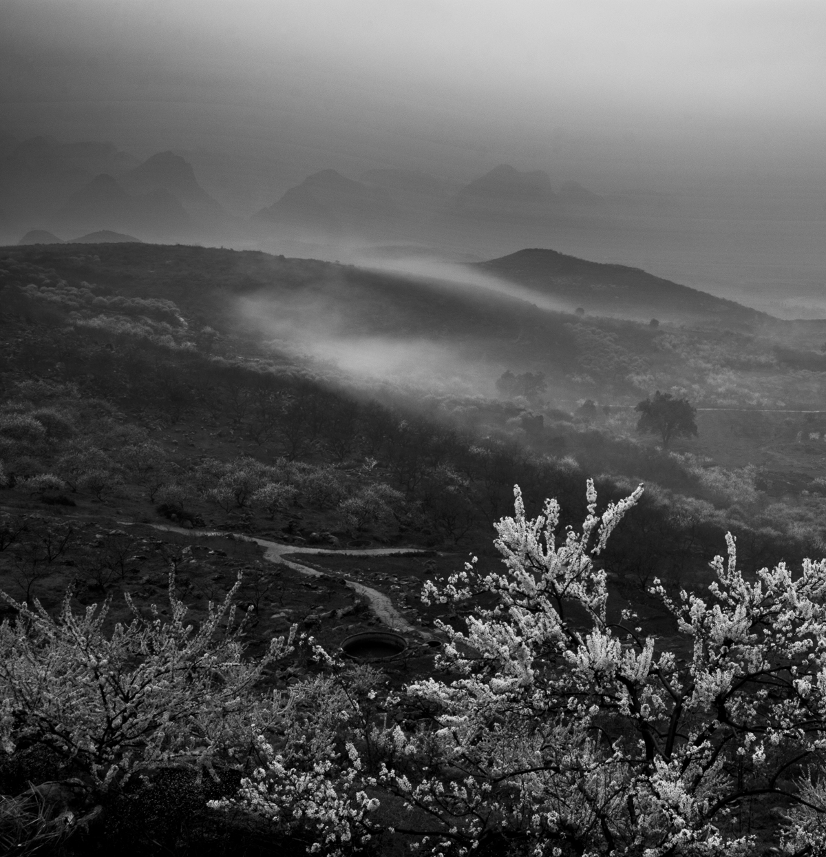 中国风&#8226;烟雨大岭山140 / 作者:孤独の帐篷 / 帖子ID:12091