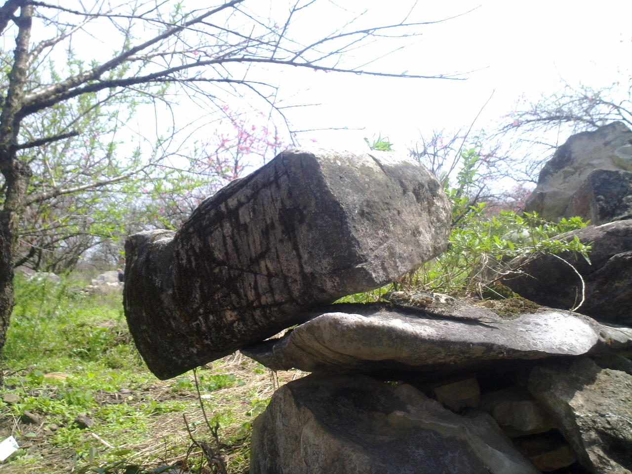 大岭山的一块石头534 / 作者:金网 / 帖子ID:12965