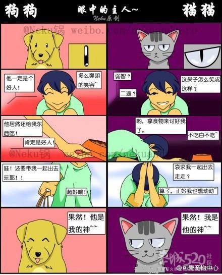 猫猫狗狗孩子那些事900 / 作者:星想事成 / 帖子ID:13219