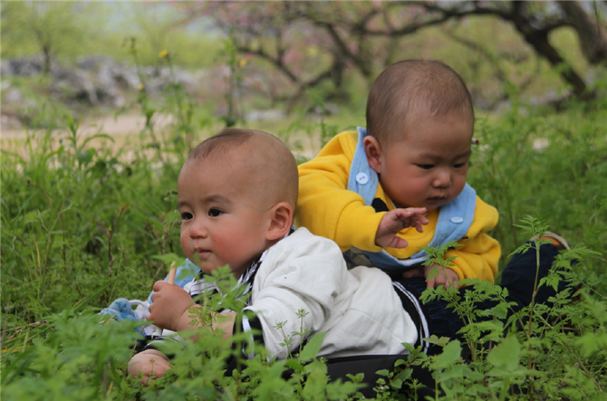 10年前的西岭小伙子，10年后的小伙子后代776 / 作者:西岭妹纸 / 帖子ID:13369