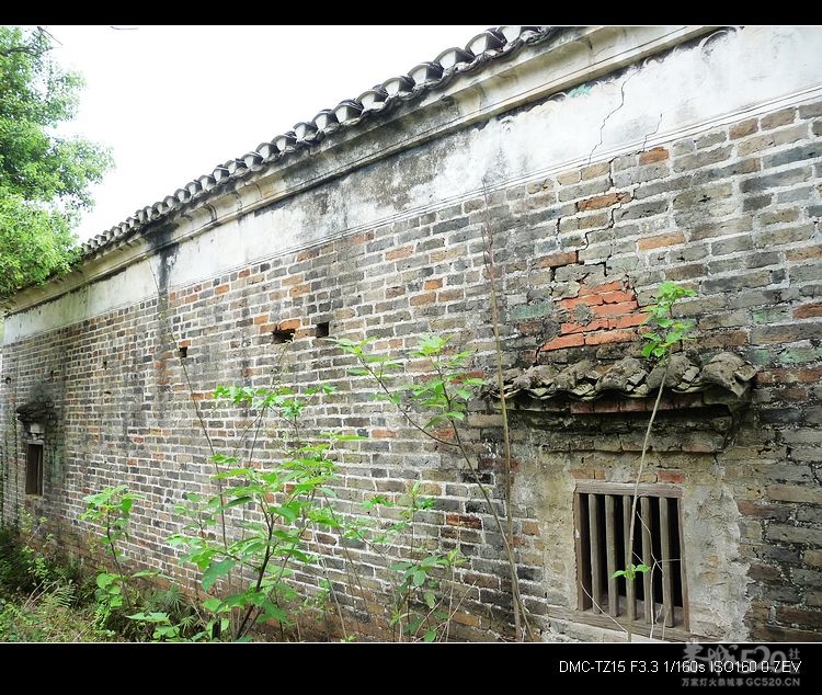 邓扒的另一角度风景451 / 作者:平安大叔 / 帖子ID:14181