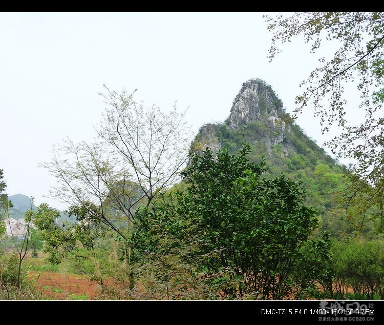 邓扒的另一角度风景60 / 作者:平安大叔 / 帖子ID:14181