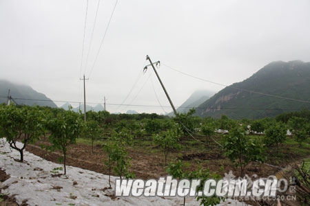 雷雨大风袭击恭城南部 供电线路遭受重创535 / 作者:社区小编 / 帖子ID:15298