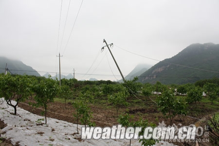 雷雨大风袭击恭城南部 供电线路遭受重创24 / 作者:社区小编 / 帖子ID:15298