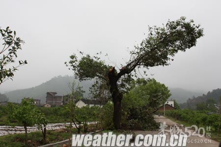 雷雨大风袭击恭城南部 供电线路遭受重创946 / 作者:社区小编 / 帖子ID:15298