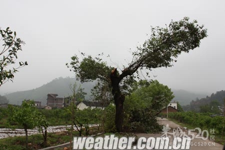 雷雨大风袭击恭城南部 供电线路遭受重创596 / 作者:社区小编 / 帖子ID:15298