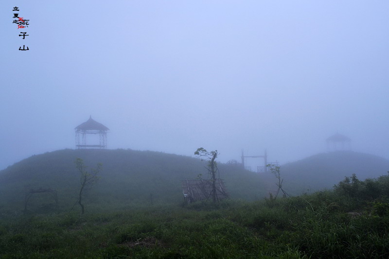 2012立夏、燕子山。发图完毕。84--110楼更新。546 / 作者:講不醜 / 帖子ID:16444