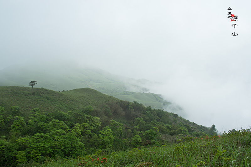 2012立夏、燕子山。发图完毕。84--110楼更新。821 / 作者:講不醜 / 帖子ID:16444