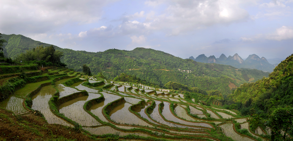 gongcheng  恭城梯田小景817 / 作者:老兔子 / 帖子ID:17846