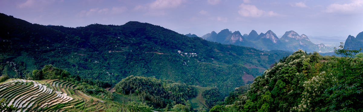 gongcheng  恭城梯田小景425 / 作者:老兔子 / 帖子ID:17846