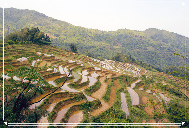 gongcheng  恭城梯田小景761 / 作者:瑶乡看兰 / 帖子ID:17846