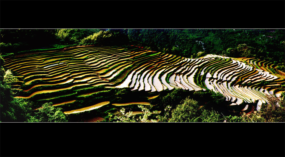 gongcheng  恭城梯田小景884 / 作者:名堂 / 帖子ID:17846