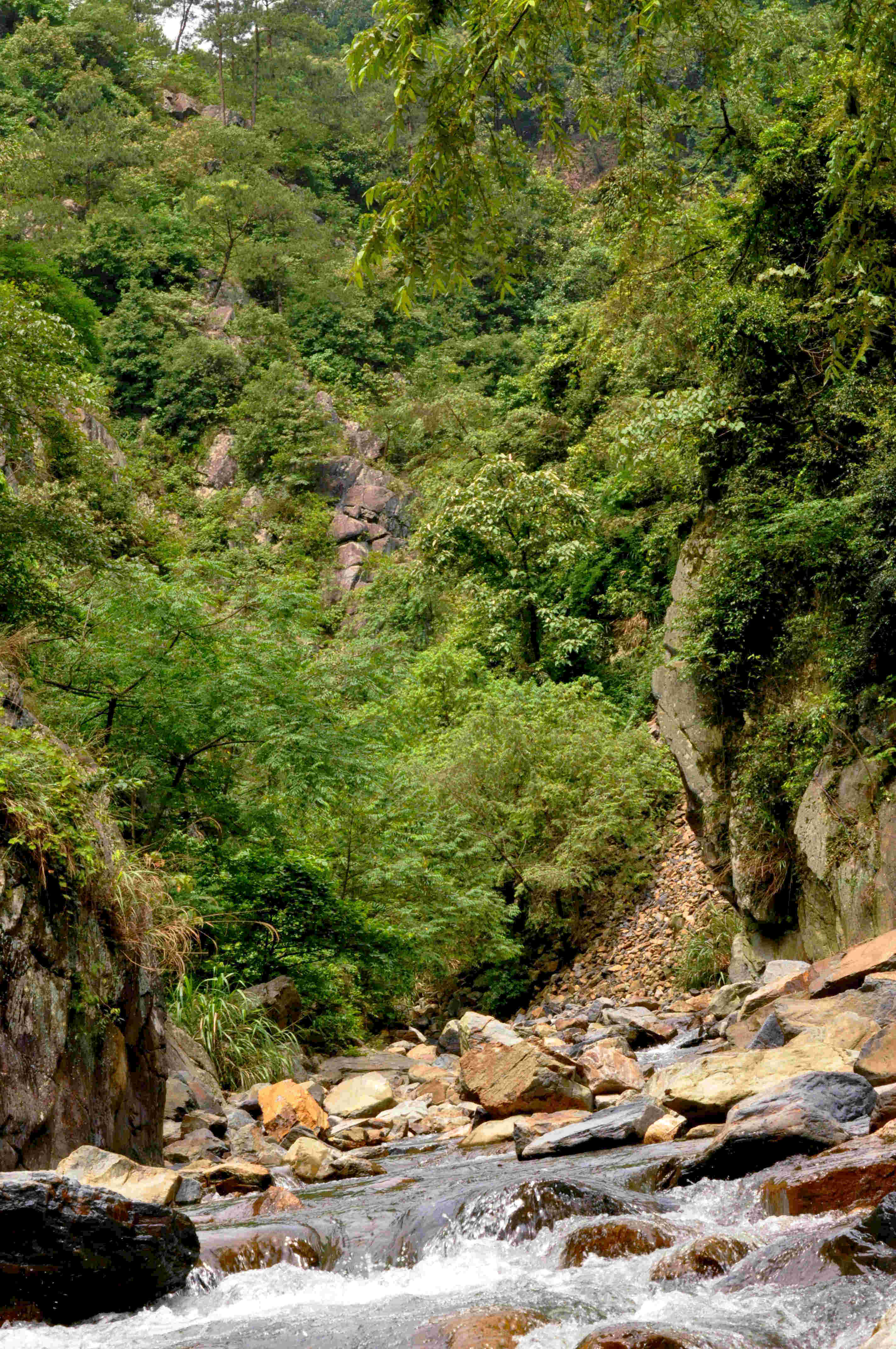 加会大山上蕉峡谷风光135 / 作者:油茶之都 / 帖子ID:18128