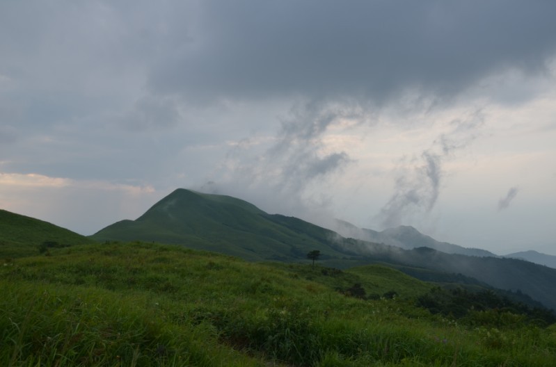 燕子山偶遇，当贺州520偶遇恭城520（多p随拍)105 / 作者:怪_兽_㊣ / 帖子ID:22093