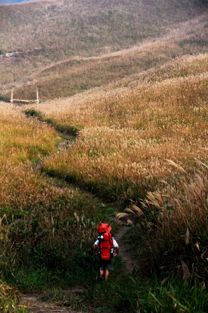 再走燕子山，  用脚步感受深秋的童话。。。。。。652 / 作者:人在旅途888 / 帖子ID:56841