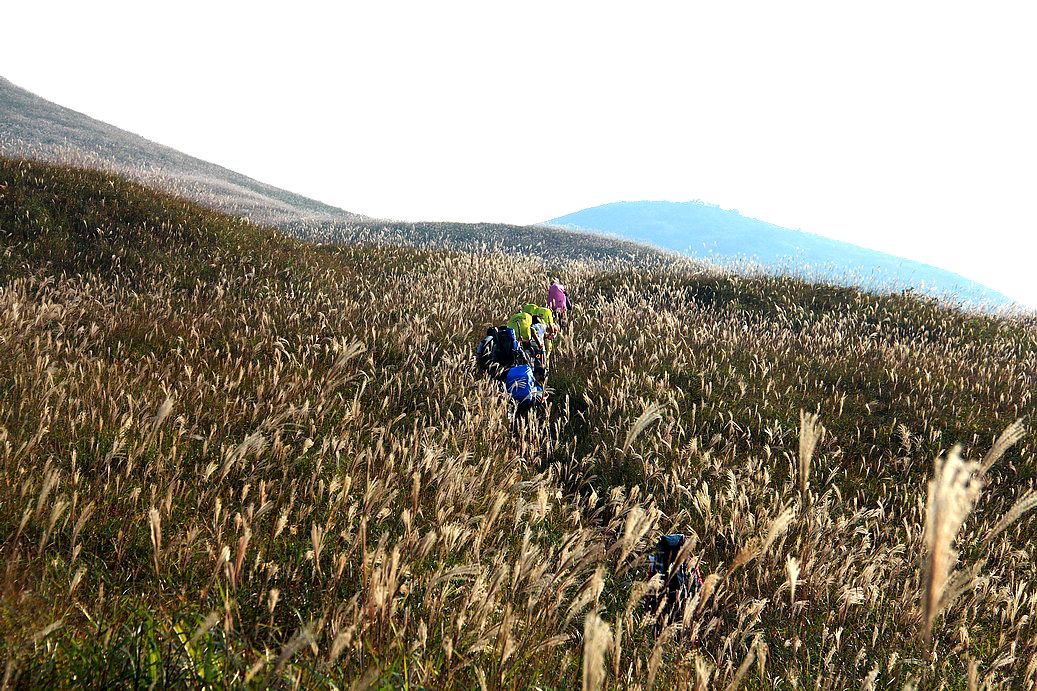 再走燕子山，  用脚步感受深秋的童话。。。。。。475 / 作者:人在旅途888 / 帖子ID:56841