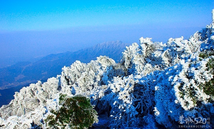 元旦节（1-2日）南岳衡山观雪景，喜迎新年祈愿之旅882 / 作者:怪兽。 / 帖子ID:59109