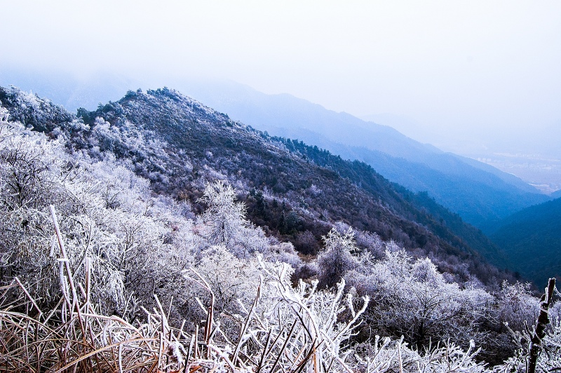 冰雪与青山相邻4 / 作者:私想者 / 帖子ID:59892