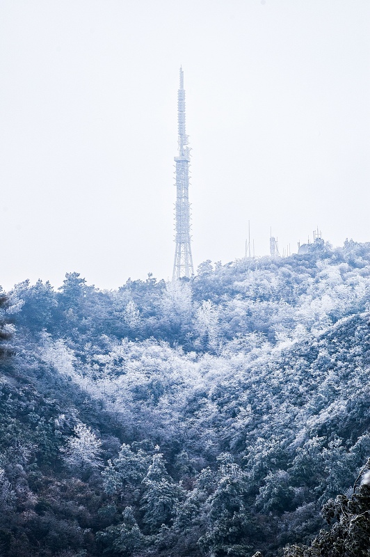 冰雪与青山相邻320 / 作者:私想者 / 帖子ID:59892