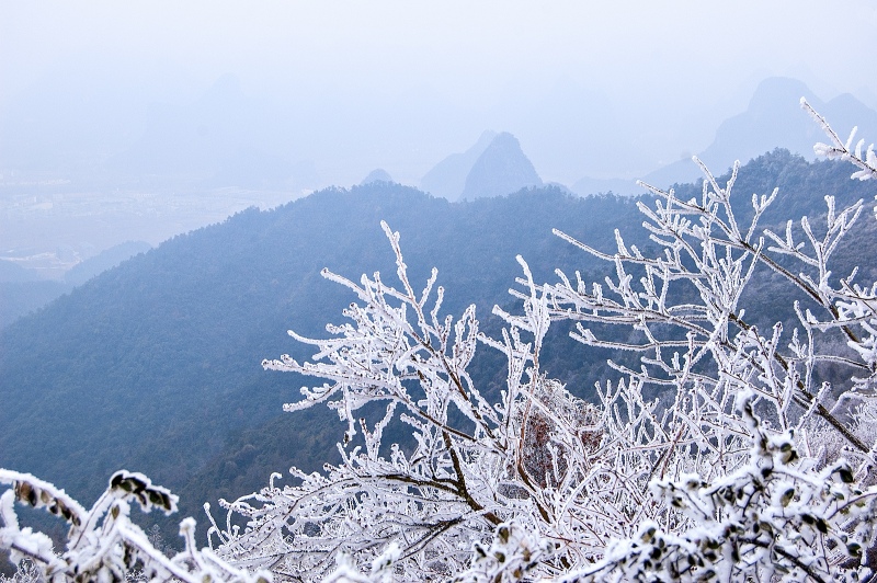 冰雪与青山相邻204 / 作者:私想者 / 帖子ID:59892