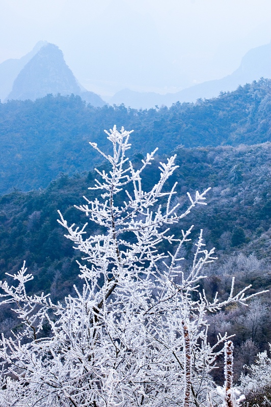 冰雪与青山相邻122 / 作者:私想者 / 帖子ID:59892