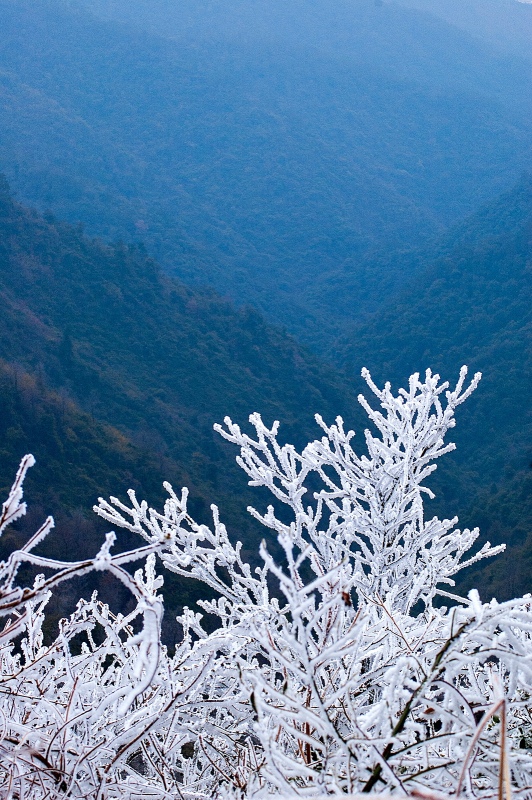 冰雪与青山相邻820 / 作者:私想者 / 帖子ID:59892