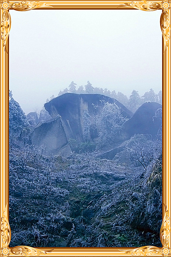 雪景 [续.续]672 / 作者:瑶乡看兰 / 帖子ID:59960