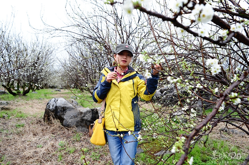 恭城520社区 2013行桃花园.走桃花运活动 图片集中营（已更新）！859 / 作者:孤单远行 / 帖子ID:61681