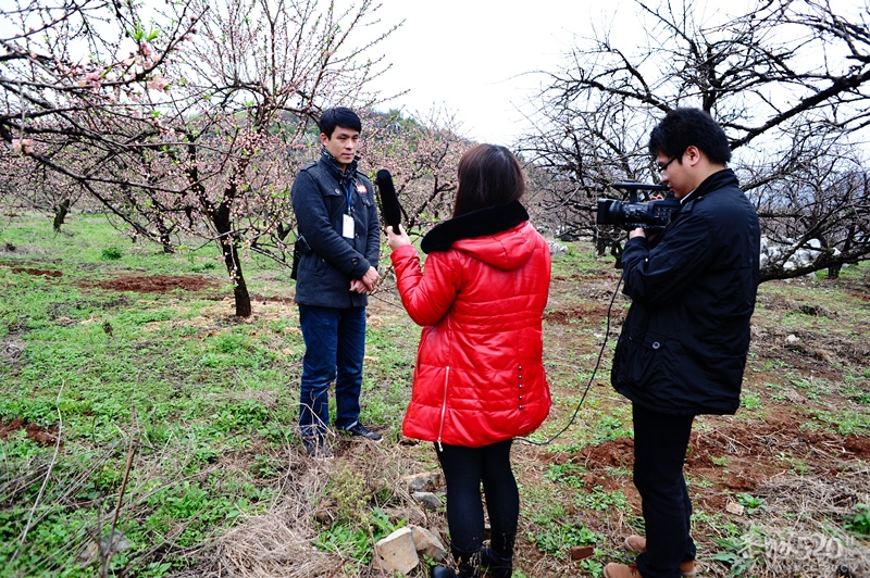 恭城520社区 2013行桃花园.走桃花运活动 图片集中营（已更新）！108 / 作者:孤单远行 / 帖子ID:61681